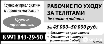 Работа дворником в воронеже камелот. Работа в воронеже. Камелот работа. Камелот воронеж работа. Найти работу воронеж камелот.