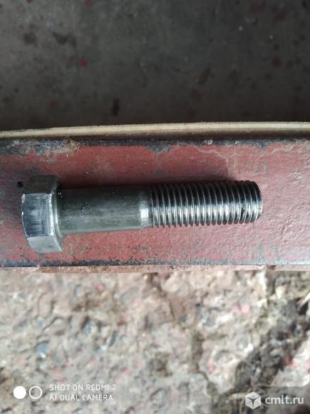 Болт. Фото 1.