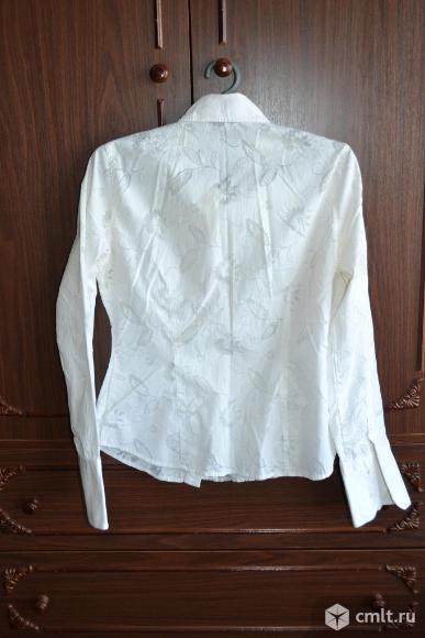 Блузки, рубашки женские (5 шт). Фото 10.