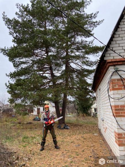 Спилить деревья, покос травы, спил деревьев, благоустройство территории, обрезка, опиловка, кронирование плодовых деревьев.