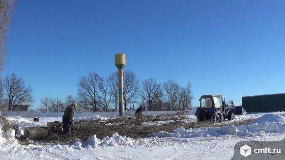 Покос бурьяна, травы. Расчистка участков, поросли. Спиливание деревьев. Русские.. Фото 10.
