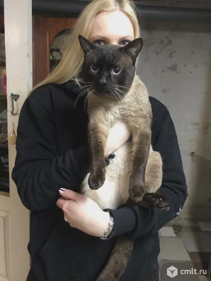 Неповторимый Боцман. Фото 3.