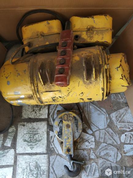 Таль электрическая. Фото 1.