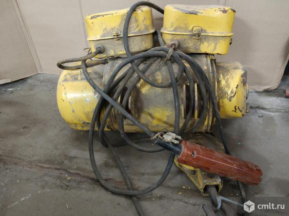Таль электрическая. Фото 2.
