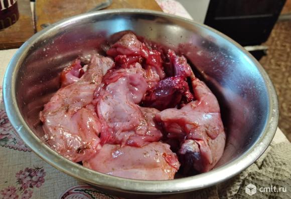Мясо кролика породы Рекс. Фото 4.