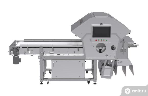 Ленточный фотосепаратор серии Horizont компании CSort. Фото 1.