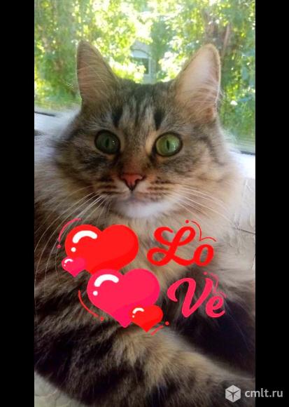 Продавец. Фото 1.