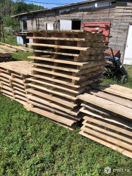 Поддоны.. Фото 1.