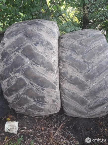 Шины. Фото 1.