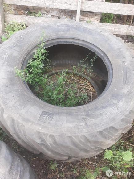 Шины. Фото 3.
