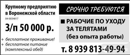 Воронеж вакансии для женщин без опыта свежие. Воронеж работа свежие вакансии на сегодня Камелот. Оператор по уходу за телятами.