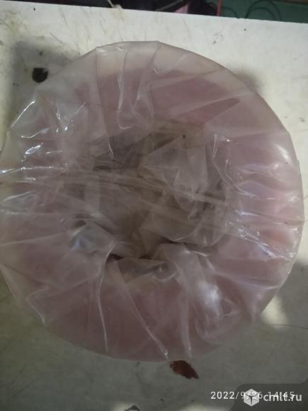 Продам Оградительную ленту. Фото 2.