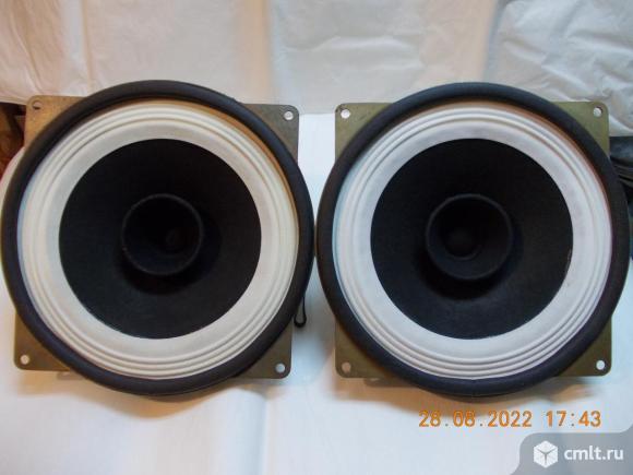 Динамики 10гдш-2-4. Фото 1.