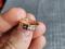 Золотое кольцо с бриллиантами. Фото 1.