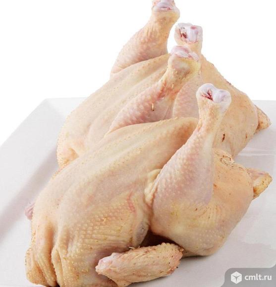 Мясо домашнего бройлера. Фото 1.