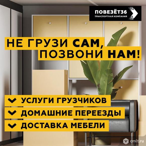 Опытные грузчики. Фото 1.