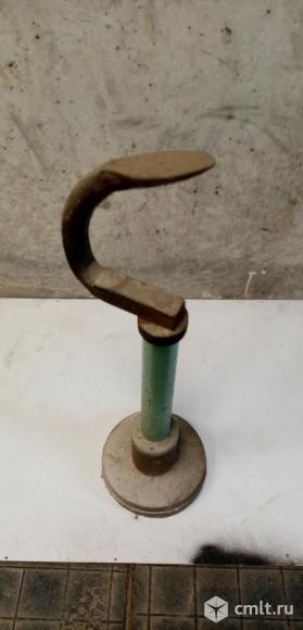 Лапка сапожника напольная. Фото 2.