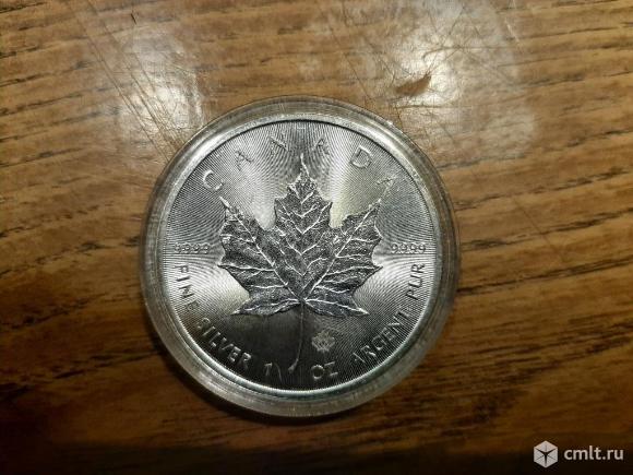 Серебряная монета Канадский Лист. Фото 1.