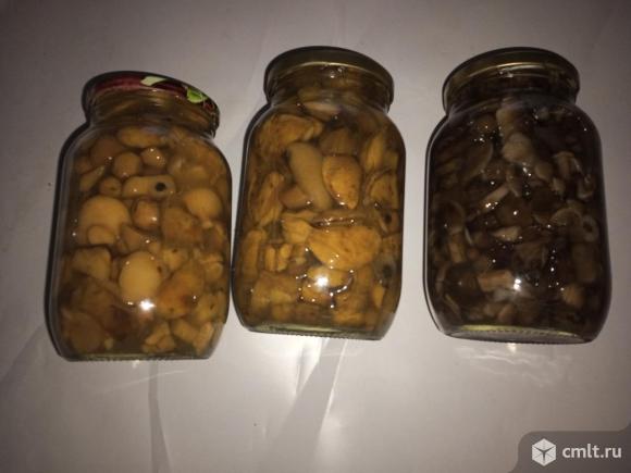 Продам очень вкусные маринованные грибы. Фото 2.