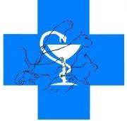 Статус, ветеринарный лечебно-диагностический центр. Фото 1.