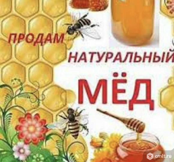 Продам натуральный мёд. Фото 1.