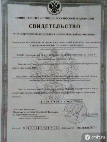 Мужская одежда. Фото 2.