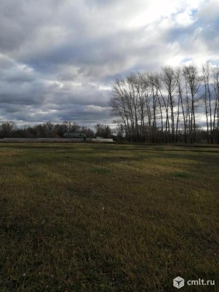 Участок 10 сот.. Фото 1.