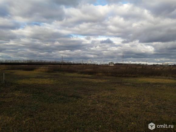 Участок 10 сот.. Фото 3.