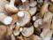 Маринованные грибы опята маслята. Фото 3.