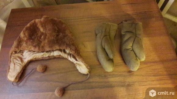 Продаю комплект шапка и рукавички из натурального меха.. Фото 1.