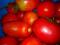 Рассада томатов, перцев, капусты. Голландские семена. Фото 4.