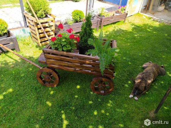 Телега для сада. Фото 1.