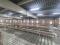 Аренда склада 1440 м2. Фото 6.