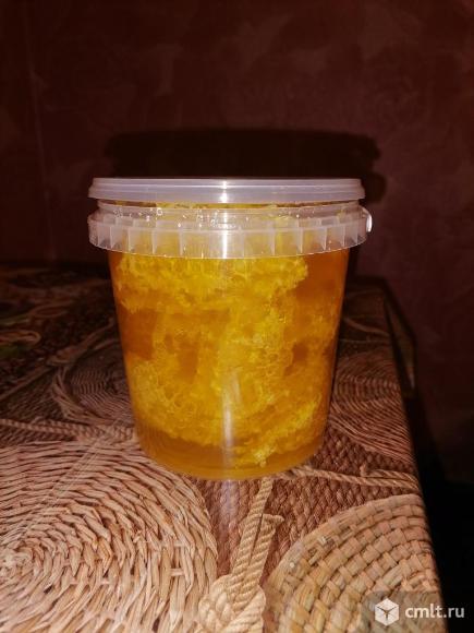 Мёд. Фото 1.