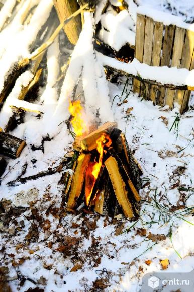Дрова дубовые,  сосна, береза.. Фото 6.