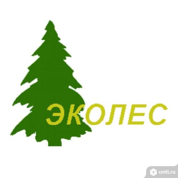 Оператор-кассир. Фото 1.