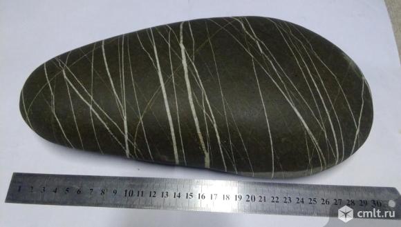 Камень морской натуральный. Фото 1.