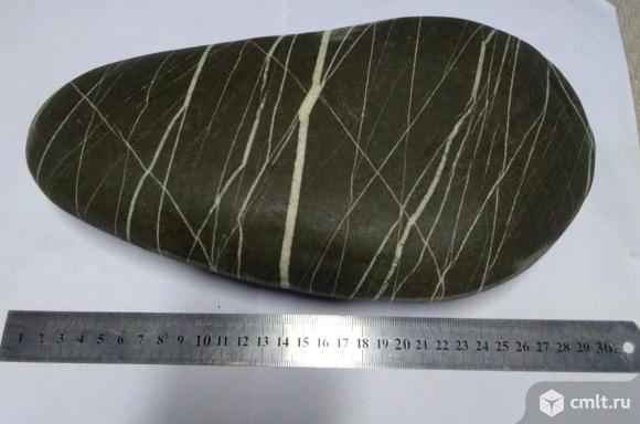 Камень морской натуральный. Фото 2.