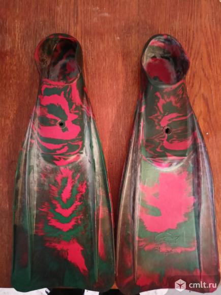 Ласты. Фото 1.