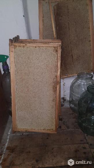 Сотовый мед. Фото 2.