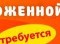 Грузчик-Наборщик На Склад Замороженной Продукции Требуется