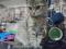 Трехцветный котенок Шейла. Фото 3.