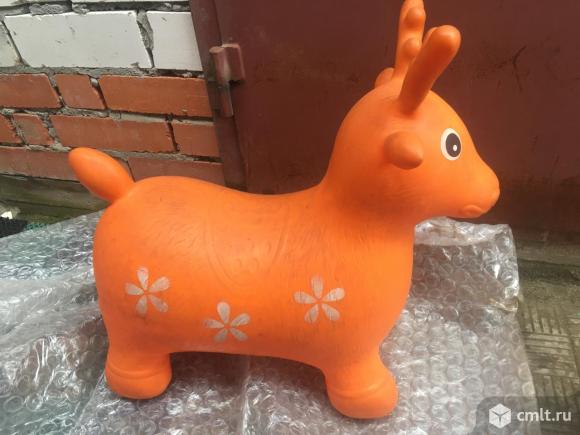 Попрыгун-олень. Фото 1.