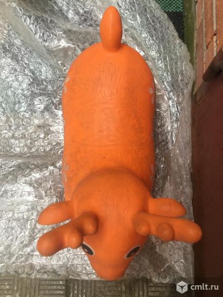 Попрыгун-олень. Фото 4.