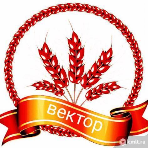 Менеджер по продажам зерновых культур требуется.. Фото 1.