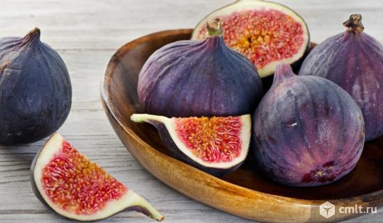 Инжир Брунсвик,Узбекский жёлт.,Фиолетовый (саженцы). Фото 1.