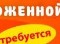Грузчик-Наборщик На Склад Замороженной Продукции Требуется