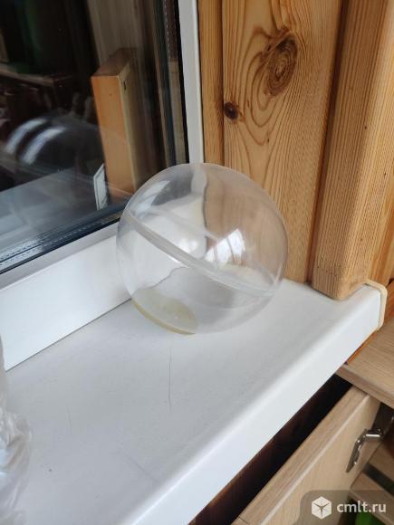 Продам шар для хомячка. Фото 2.