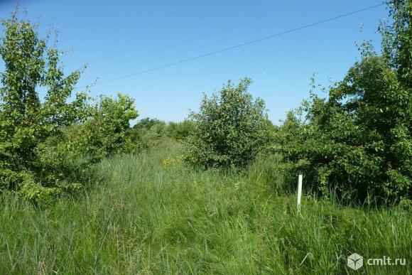 Участок 8,3 сот.. Фото 1.