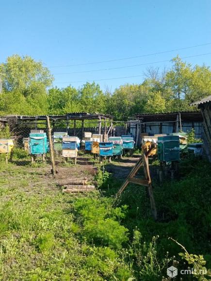 Дом 110 м2 на участке 50 сот.. Фото 16.